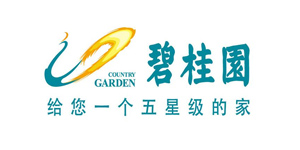 碧桂園集團
